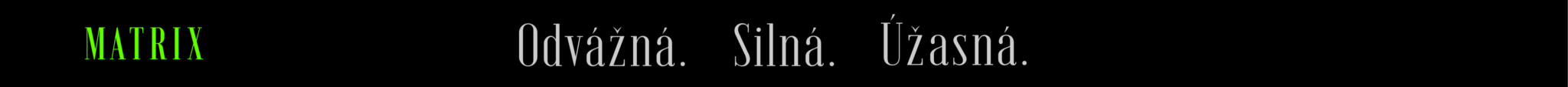 main banner