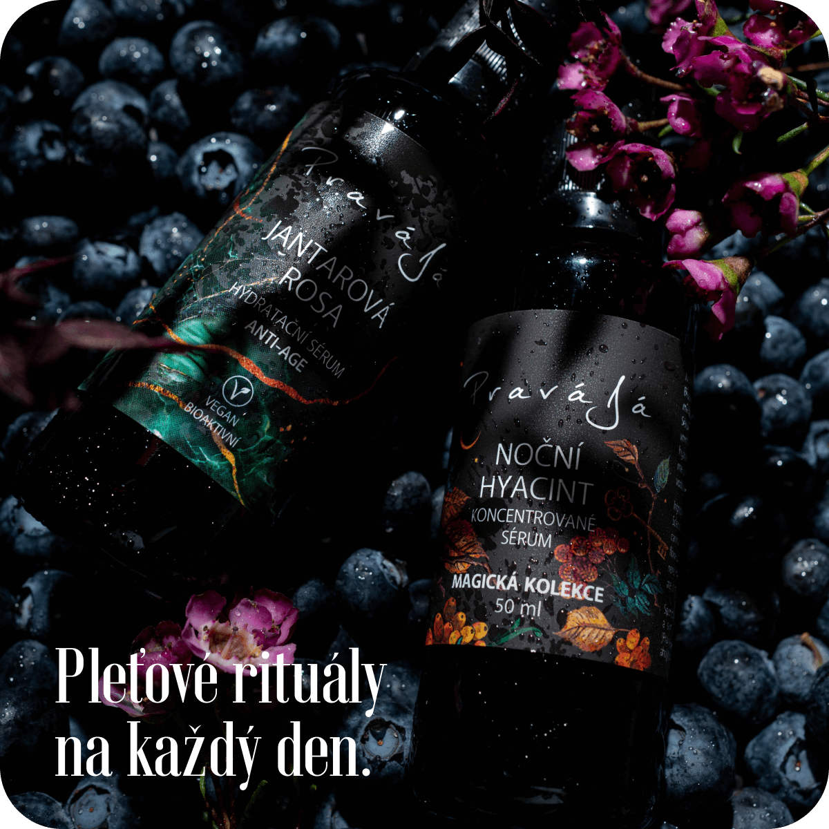 prava 2 o pravaja