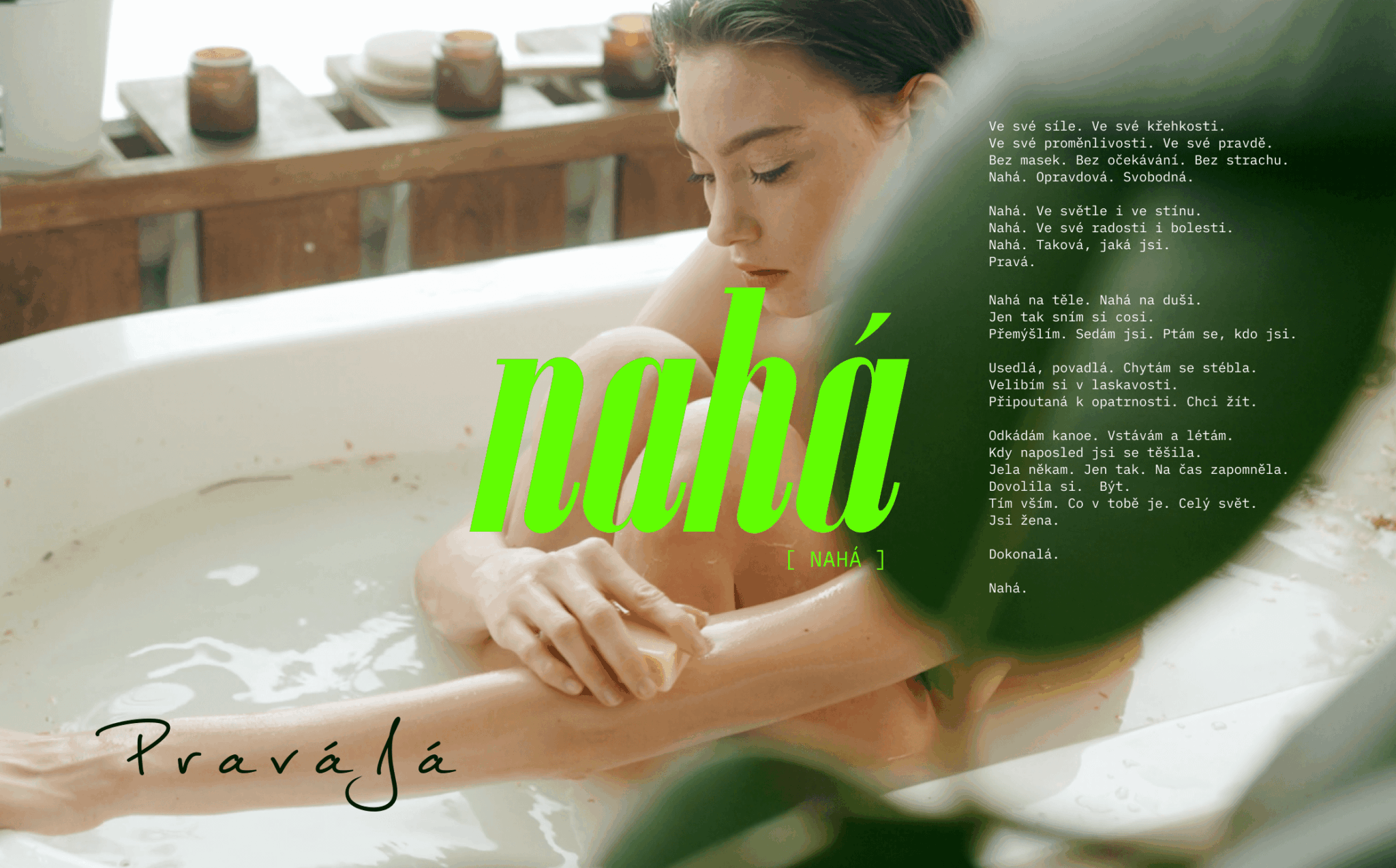 naha clanek landing